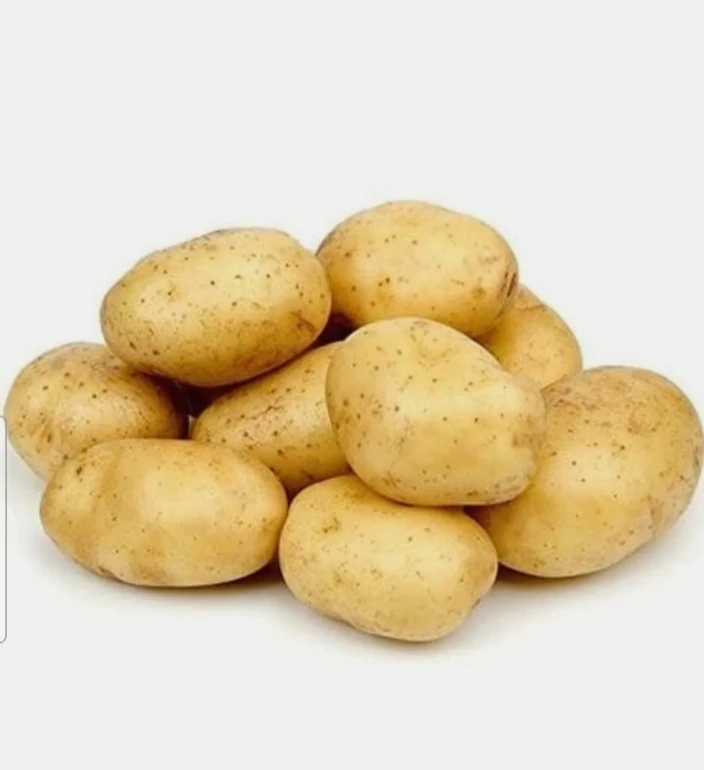 المنتج